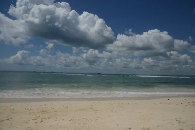 DSC_7645 (Large).JPG